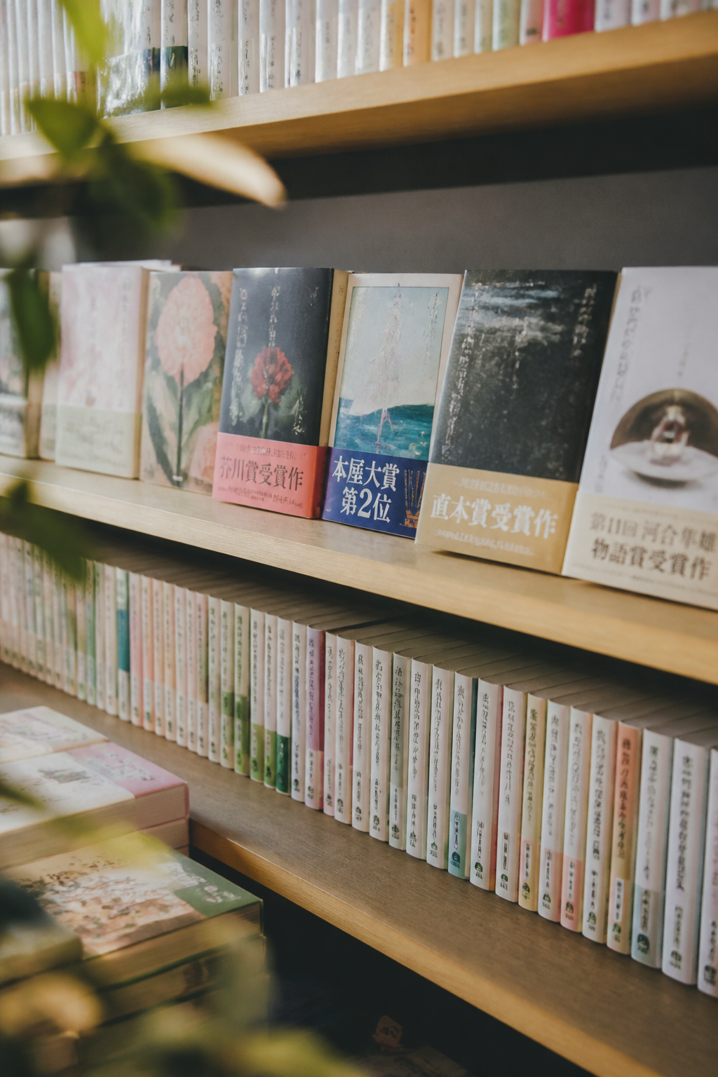 書店の棚に並ぶ現代日本の小説の単行本と文庫。帯に受賞を伝える文字が入った本が数冊前に出されている